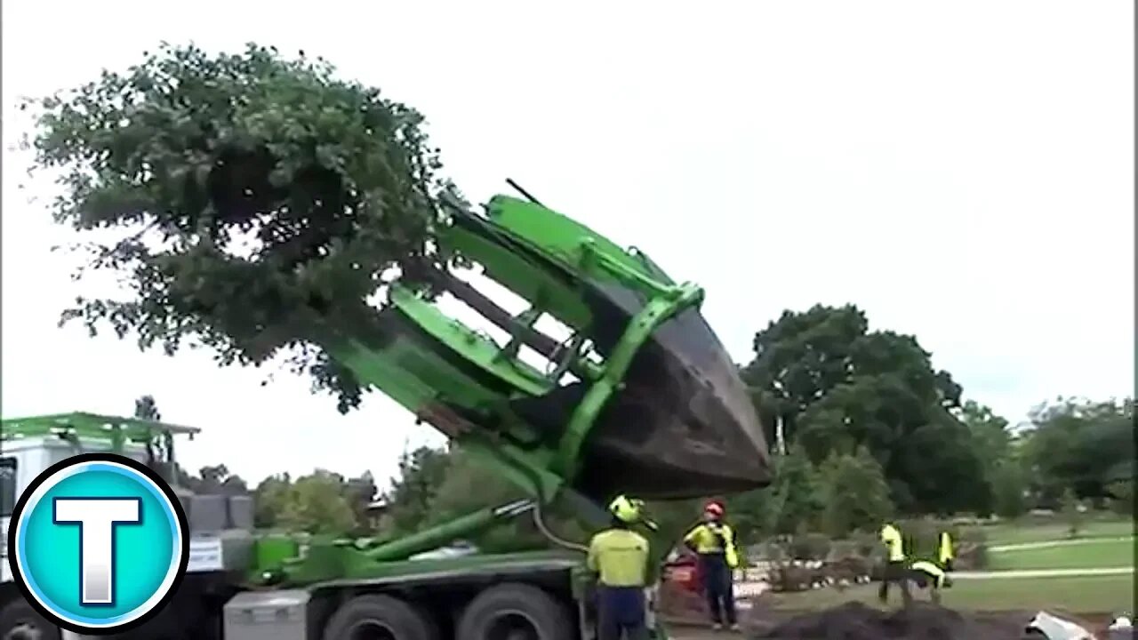 Tree Moving Machine!