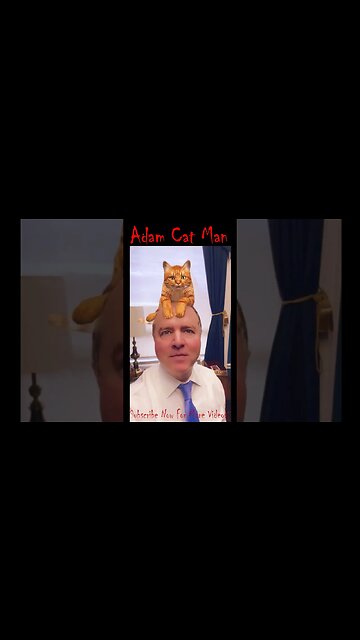 Adam Schiff and the Cat