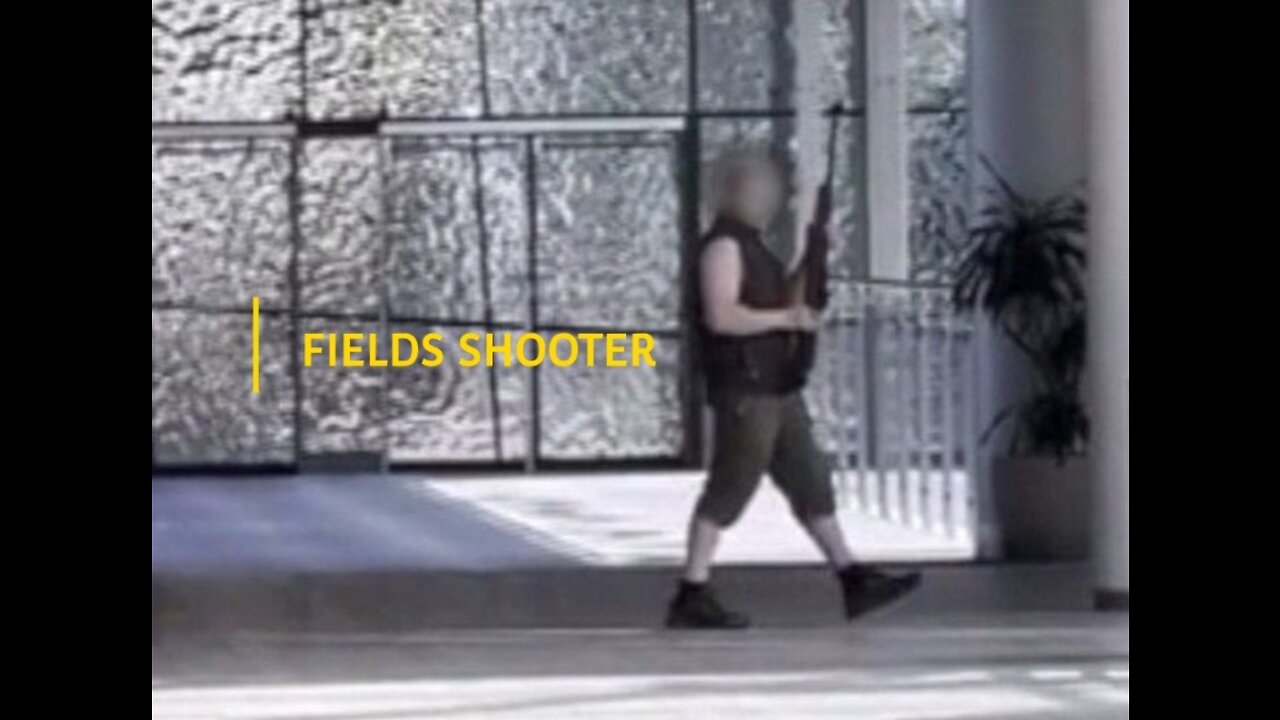 Fields shooter. Was it a false flag?