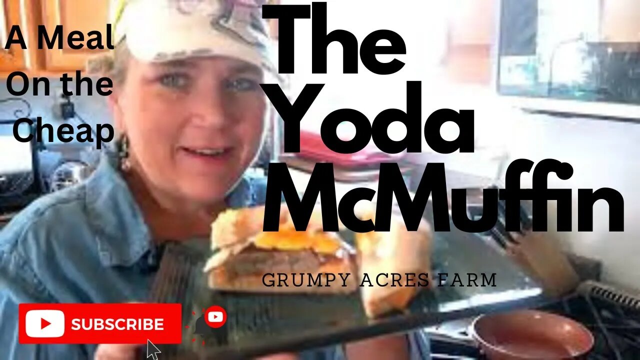 Homestead meal on the cheap: The Yoda McMuffin...