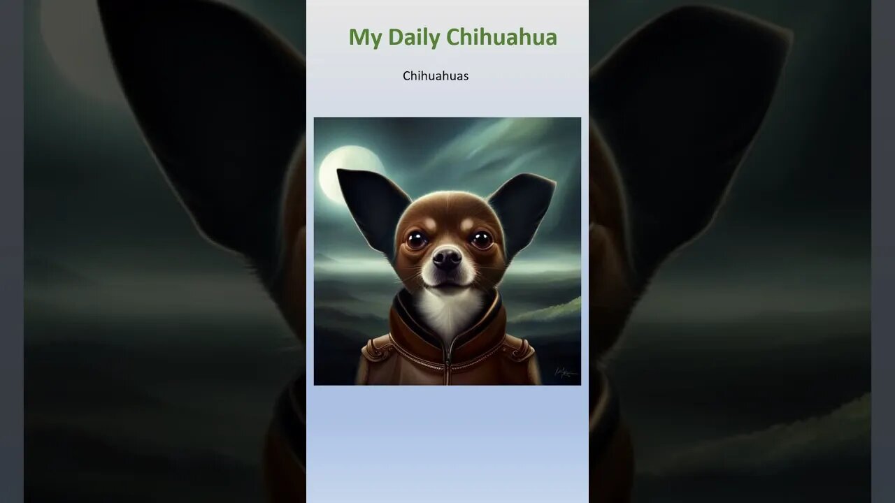 May 29 Chihuahuas #shorts