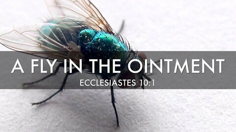IN THE MIDST OF DECEIT- "FLIES IN THE OINTMENT"