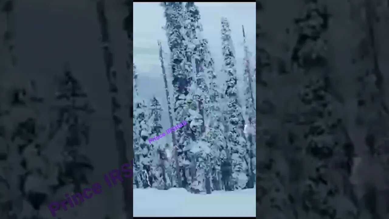 Ae Hawa Mere Sang Sang Chal / Barfila Jungle #Snow_Travel in Snow #subscribe #latamangeshkar #shorts