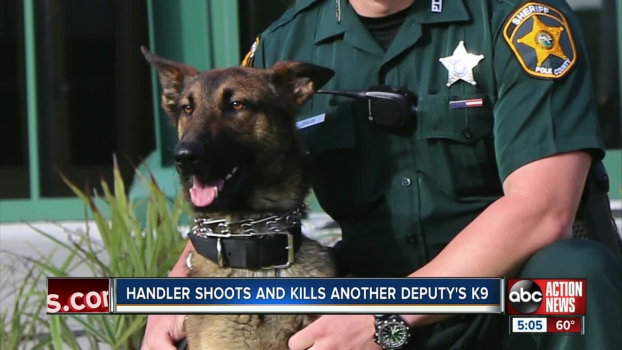 Polk County deputy forced to shoot, kill another deputy's K9