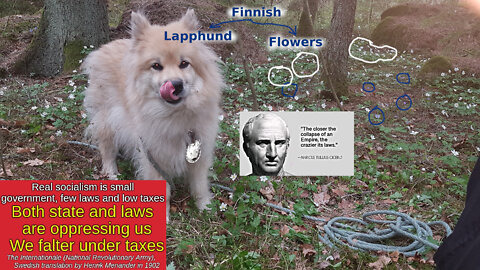 CDC demonstrates bird flu playbook. Refusing Russian gas = corruption. Finnish flowers & digging