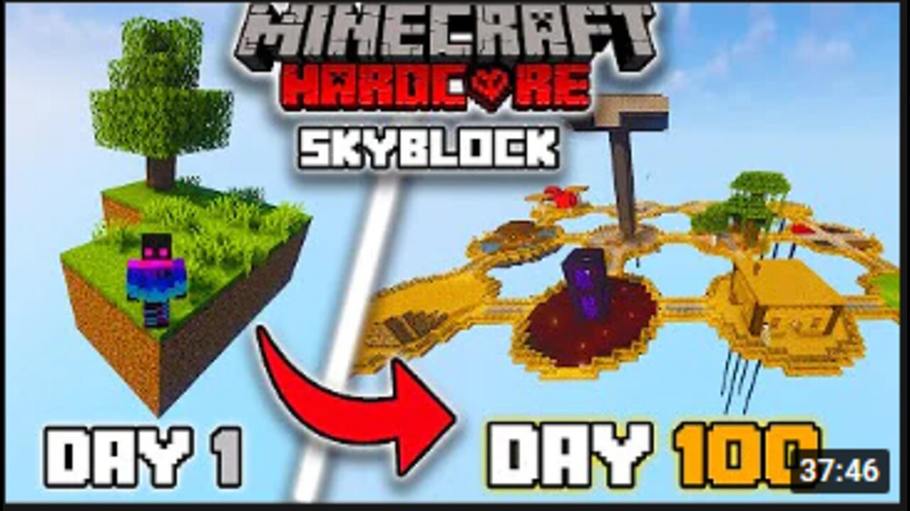 I Survived 100 Days In Minecraft SKYBLOCK Hardcore!!