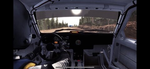 Dirt Rally