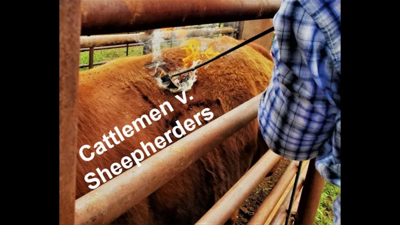 Cattlemen & Sheepherders (In the Chute - Round 58)