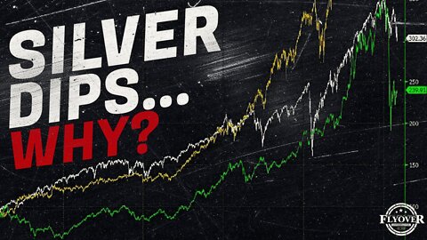 Economy | Why Did Silver Drop in Price? | Economic Update