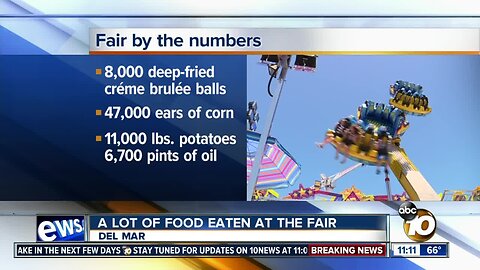 San Diego County Fair: By the numbers