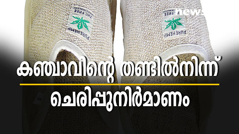 കഞ്ചാവ് ചെടിയുടെ തണ്ടില്‍നിന്ന് ചെരിപ്പുനിര്‍മാണം