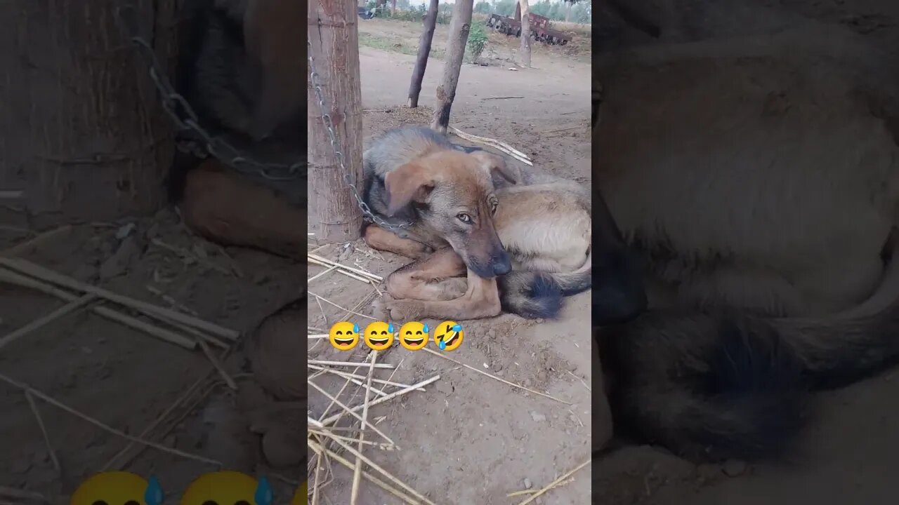 NHA lu #video new#short#video #viral #funny #funny video