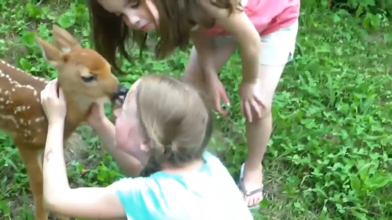 Cutest kids🤗 and cute animals🤗 funny video compilation 🤣🤣🤣. Try not to laugh