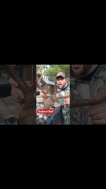 Georgia Buck Down! Preview