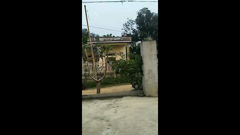 Very video home vietnam