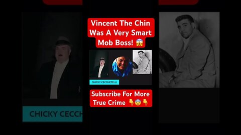 Vincent The Chin Was A Very Smart Mob Boss! 😱 #theoddfather #thegodfather #mafia #vincentthechin