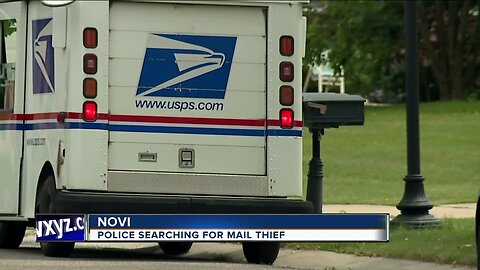 Novi police searching for mail theif