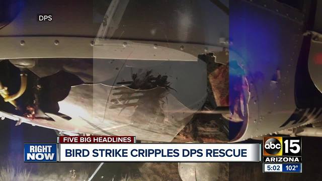 Bird strike causes significant damage to DPS helicopter