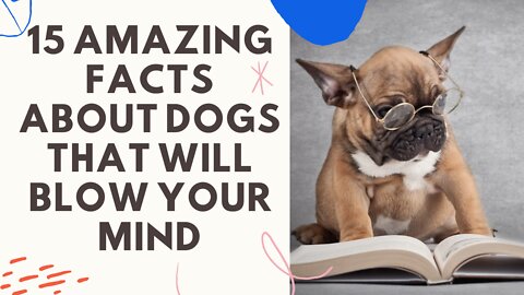 15 Amazing Facts About Dogs That Will Blow Your Mind!