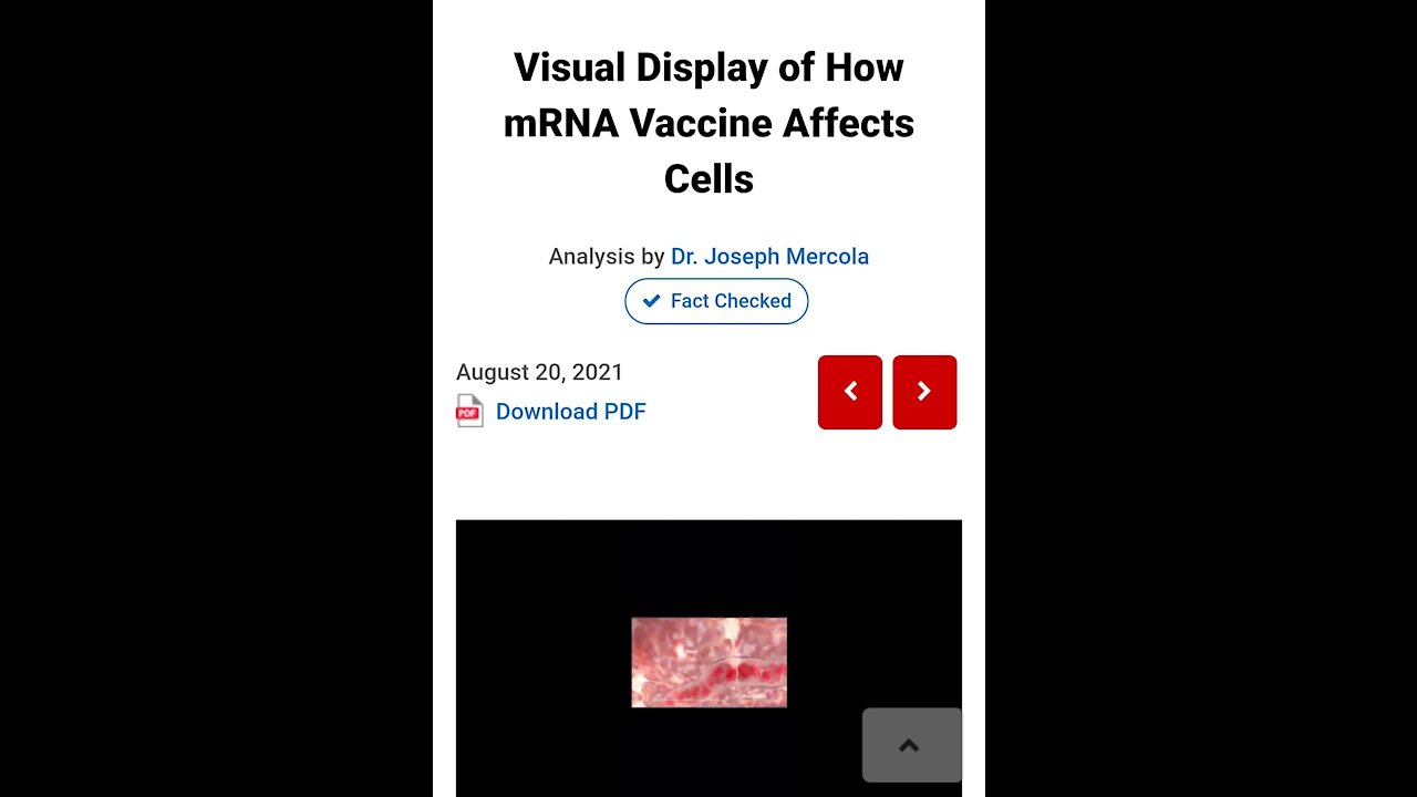 Visual Display of How mRNA Vaccine Affects Cells