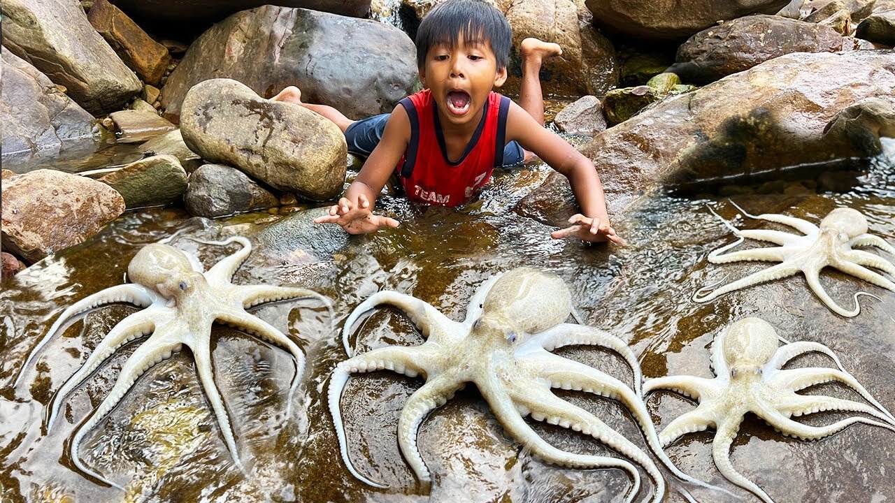 Survival Skills In Forest: SIMPLE buy very USEFUL cooking octopus in the forest.