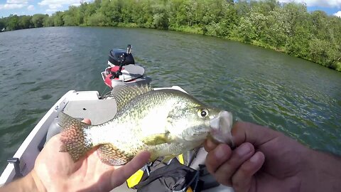 Catch,Clean, Cook Crappie Fishing | Catching Summer Crappie