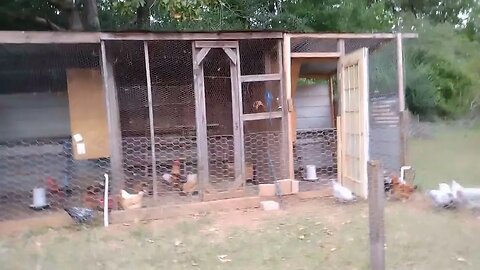 A normal day on My Mini Farm Prepping for food shortages 2022 2023