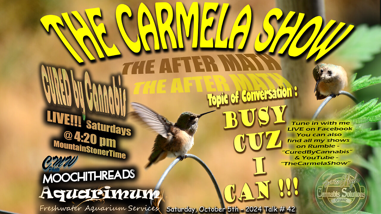 The Carmela Show TALK# 42 - "Busy Cuz I Can"