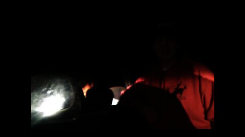 MAMA bear SHIELDS cub while PROWLING FOX SLINKS off into the NIGHT