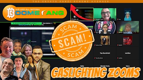 BOOMERANG Gaslighting ZOOM with SCAMMER Joe Trzeja