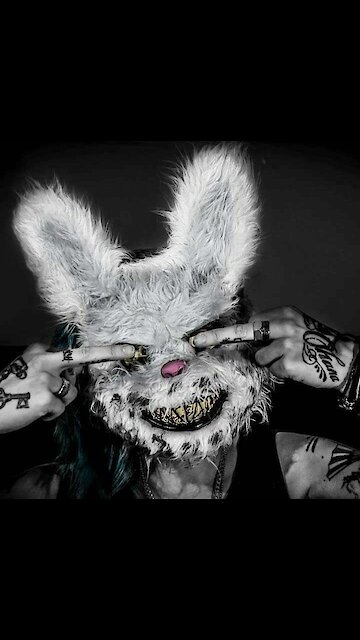 Dog help cate in strette