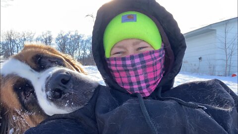 Selfie time! St. Bernards will make you smile