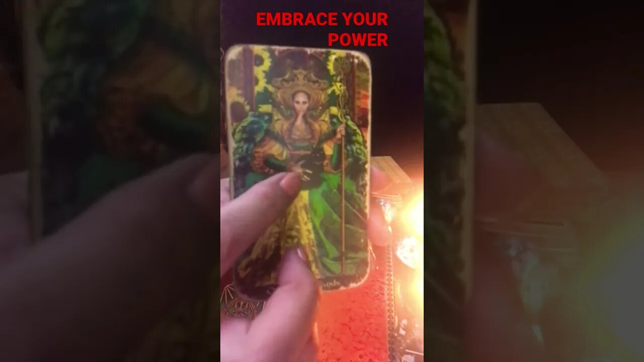 ASMR DAILY ONE ☝🏻Card TAROT READING 🪄🪄🔮🧝♀️🐅EMBRACE YOUR POWER
