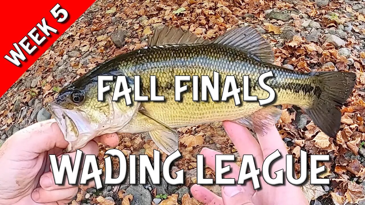 Wading League - FALL Finals! ( Top 5 Finish??? )