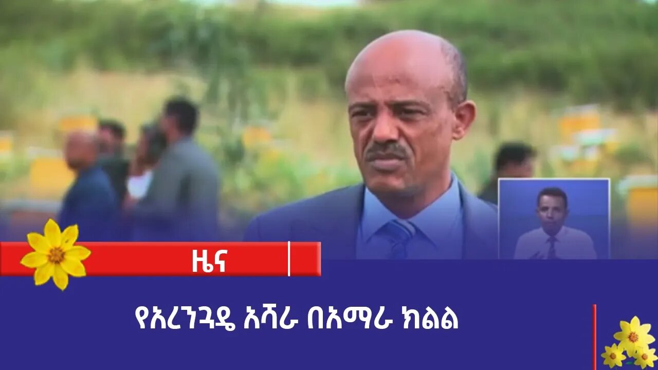 የአረንጓዴ አሻራ በአማራ ክልል