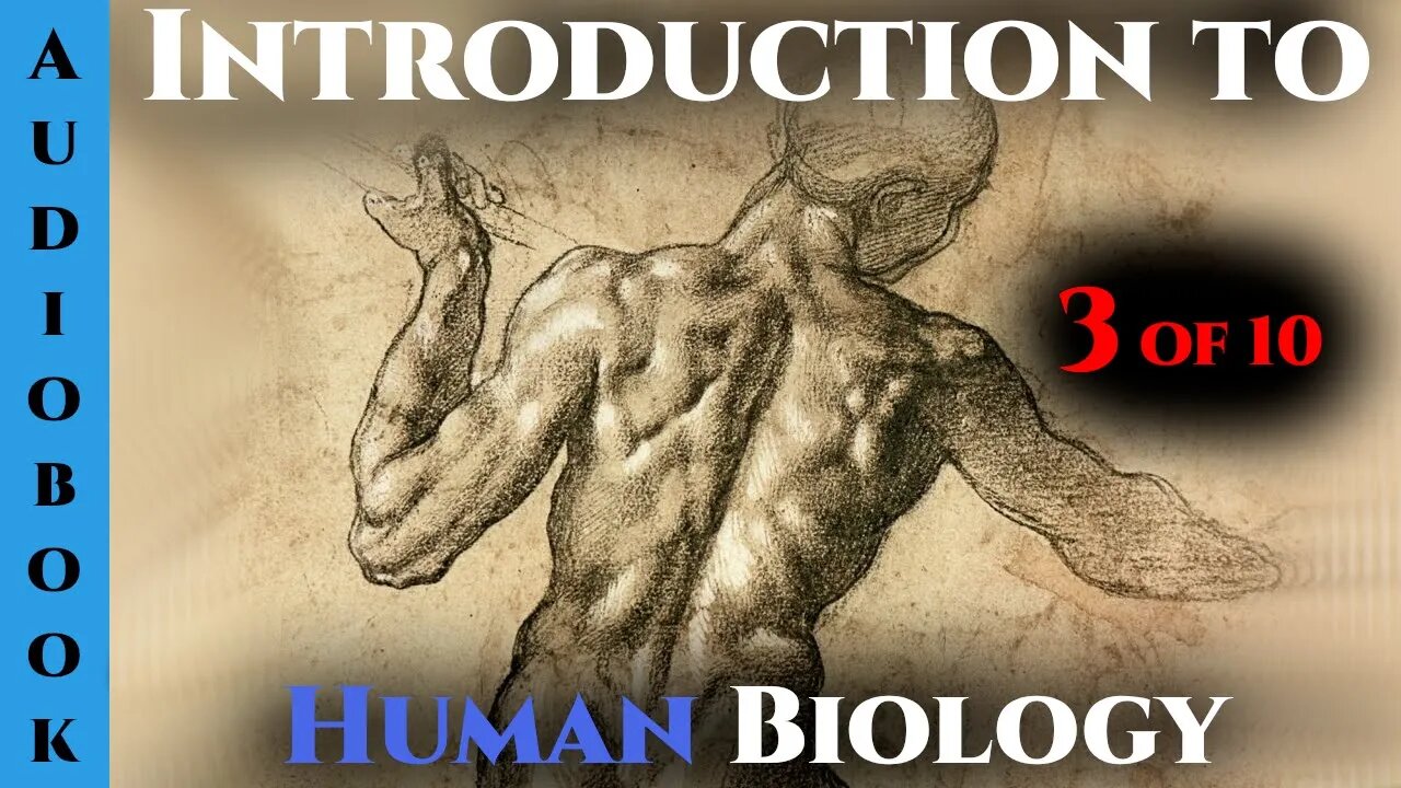 Introduction to human biology Pt.3 of 10 | Humans are Space Orcs | HFY |