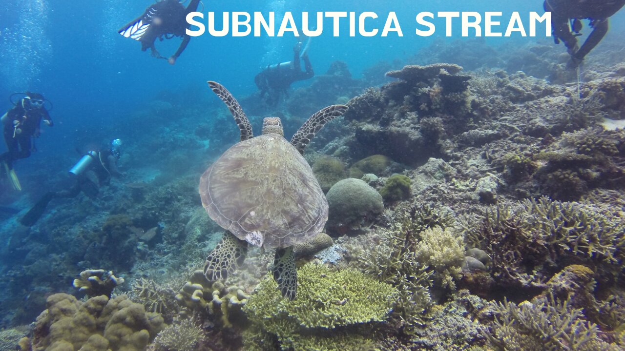 Subnautica Stream