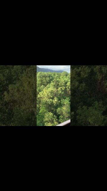 What’s this? 🙈😜