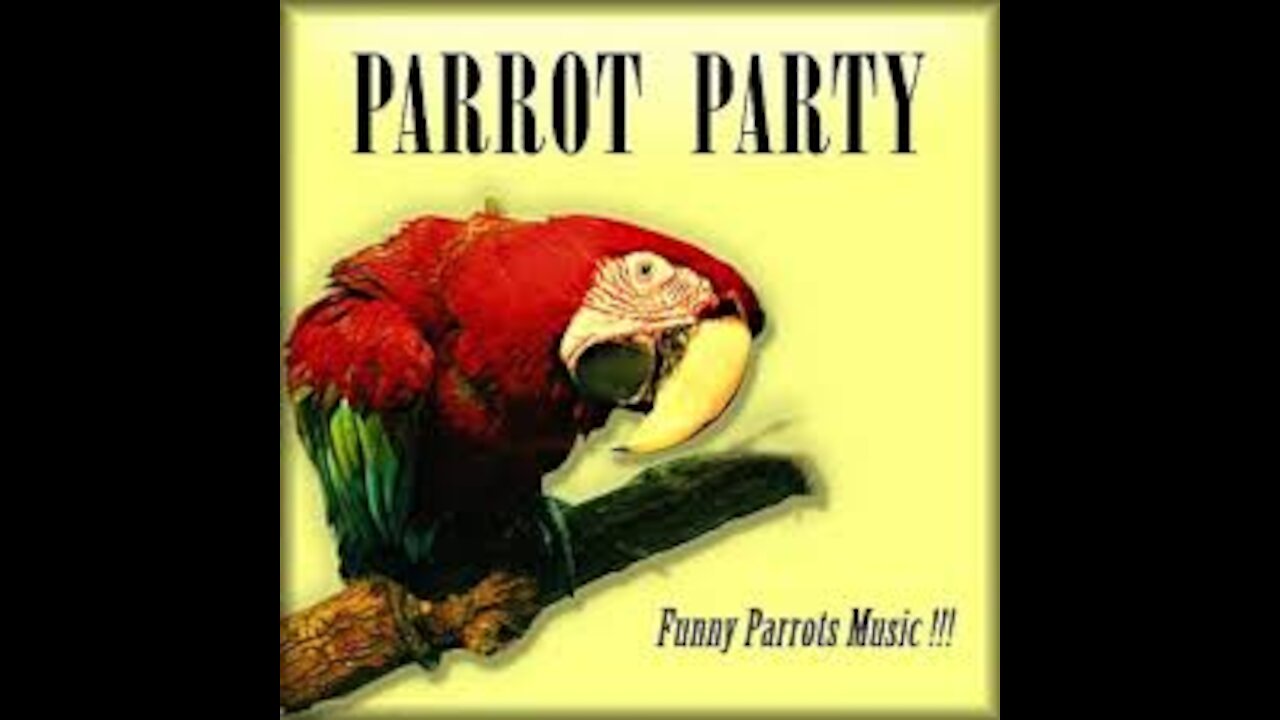 Parrot Singing Funny Video Parrot videos .