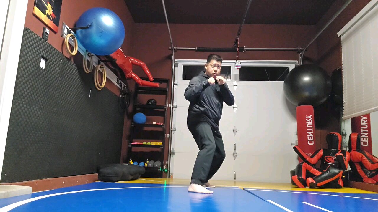 WTD Rear Hook Kick to Arrow Kick sequential