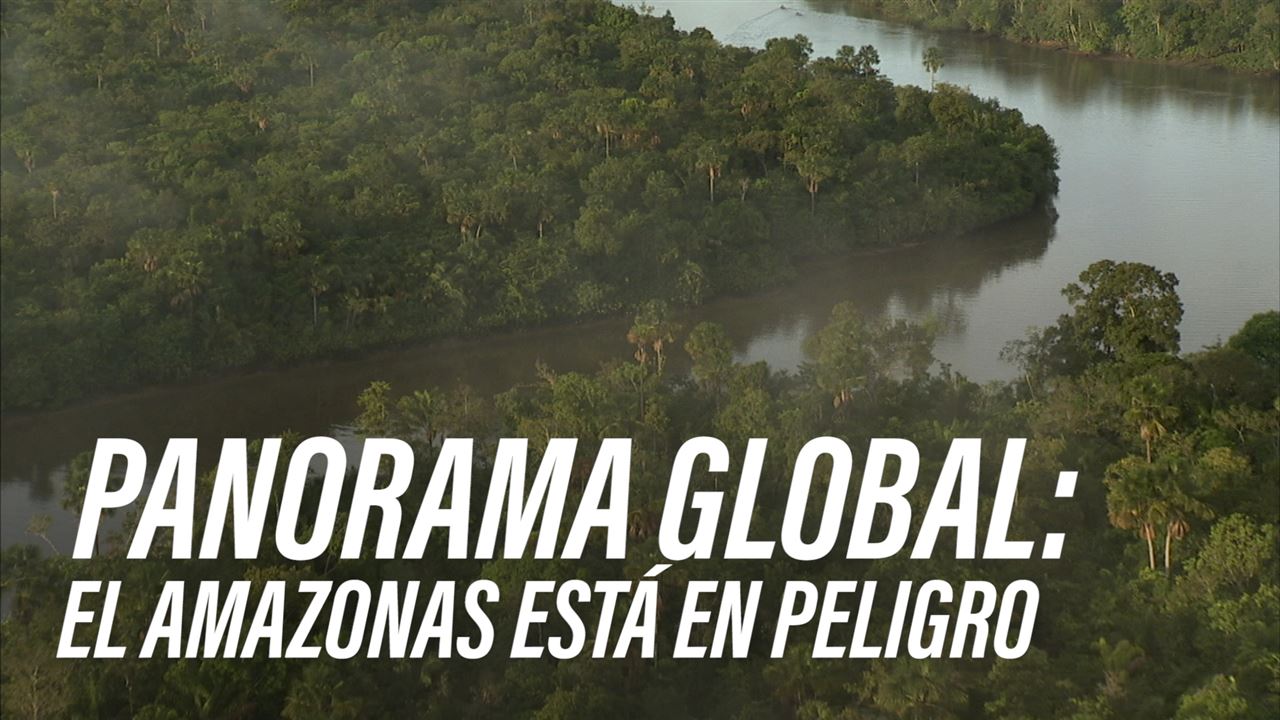 La razón por la que Bolsonaro es peligroso para el Amazonas