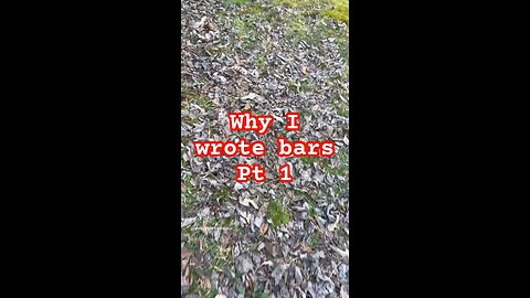 Why I wrote a celebrity diss PART 1
