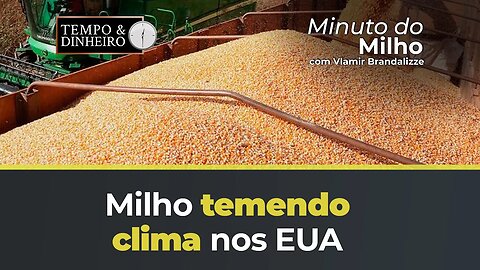 Milho temendo clima nos EUA