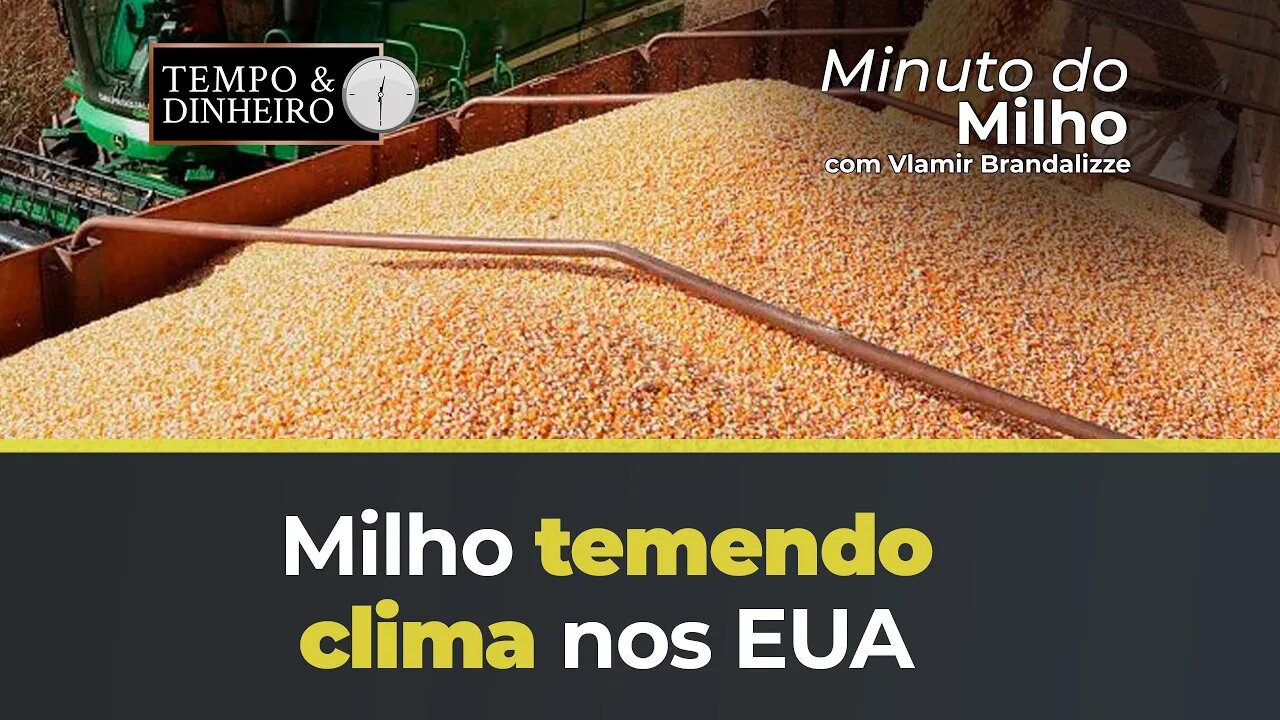 Milho temendo clima nos EUA