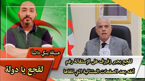 لقجع يجبر زفيزف على الإستقالة رغم أنفه بعد الصفعات المتتالية التي تلقاها