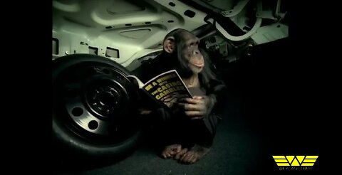 Trunk Monkey Theft Retrieval System - Suburban Auto Group