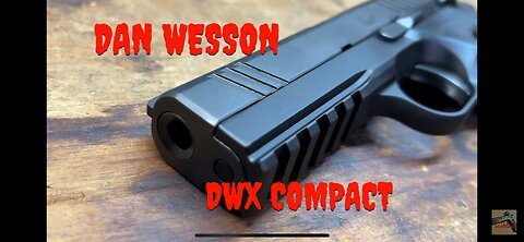 Dan Wesson DWX compact disassembly how too