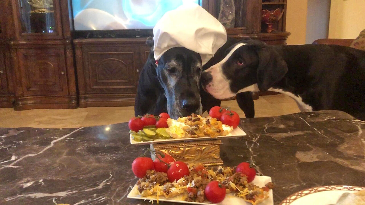 Funny Great Danes Loves Bite Size Mini Tacos