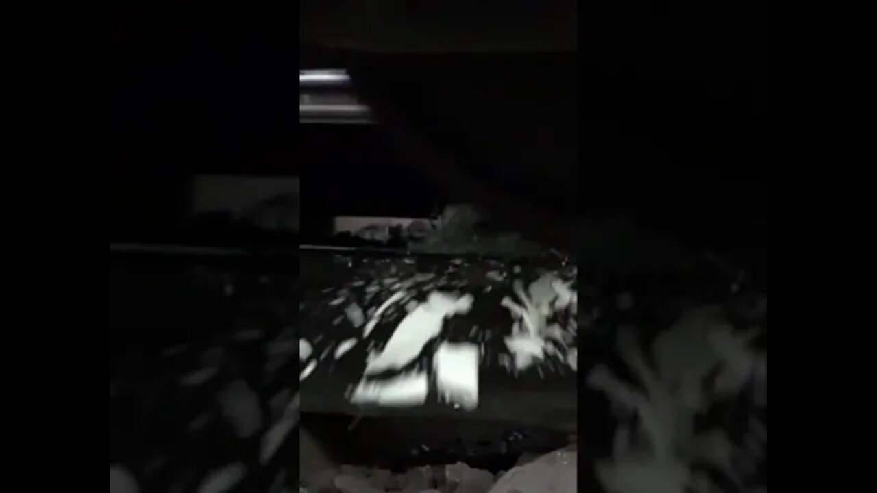 Train VS now n Newtownian liquid