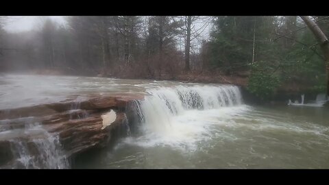 Albert Falls